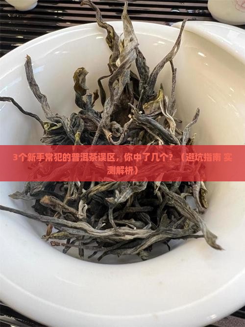 中国普洱茶网茶性