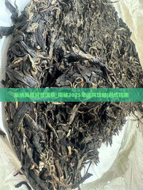 版纳凤凰窝普洱茶