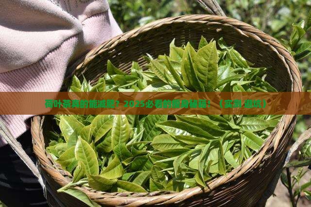 荷叶茶的功效是什么