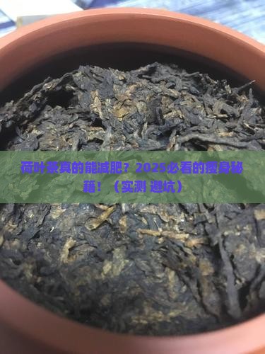 荷叶茶的功效是什么
