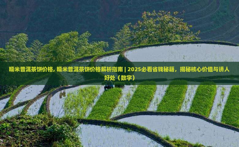 糯米普洱茶饼价格