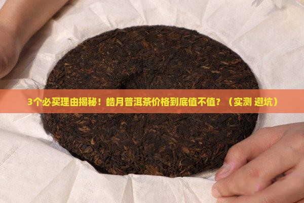 皓月普洱茶价格