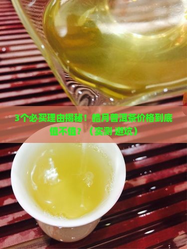 皓月普洱茶价格