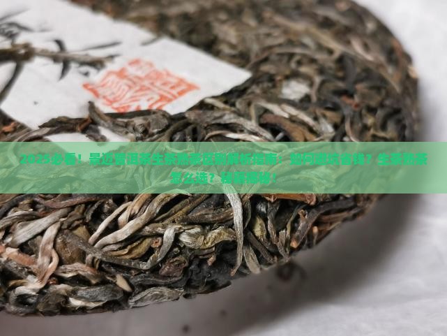 景迈普洱茶生茶熟茶区别