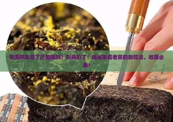 普洱茶发霉了还可以用吗