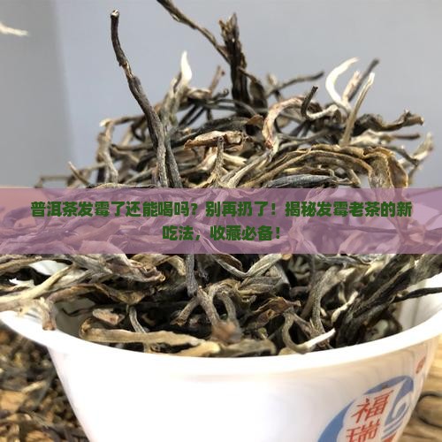 普洱茶发霉了还可以用吗