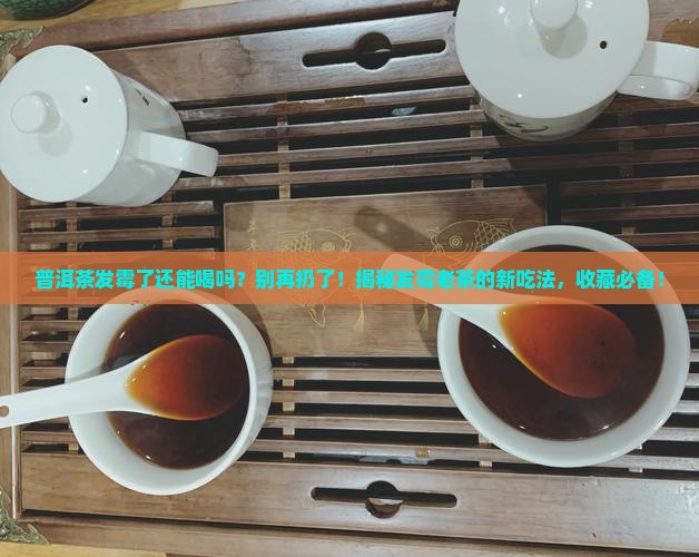 普洱茶发霉了还可以用吗