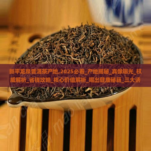新平龙泉普洱茶产地