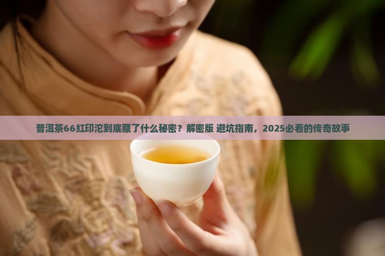 普洱茶66红印沱的发展史