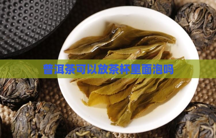普洱茶可以放茶杯里面泡吗