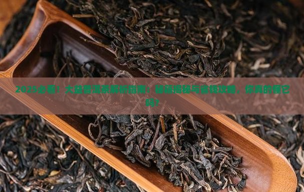 如何介绍大益普洱茶