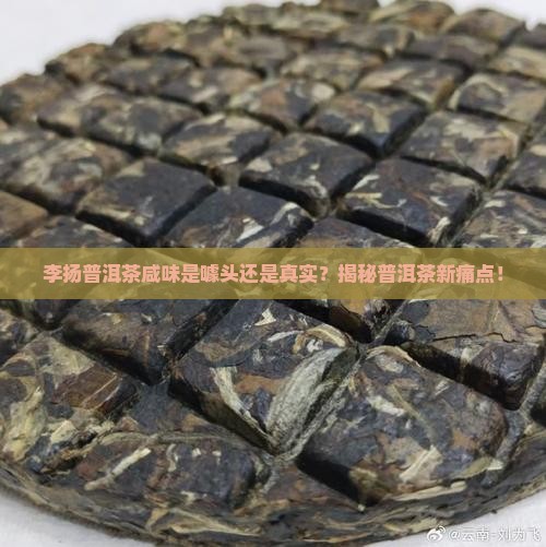 李扬普洱茶咸味