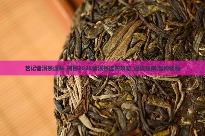 茗记普洱茶源头 茗记普洱茶源头