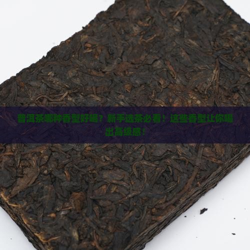 普洱茶那种香型好喝