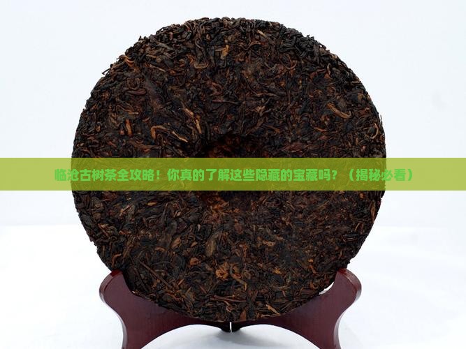 临沧地区全部古树茶