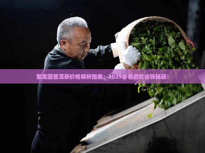 紫龙园普洱茶价格