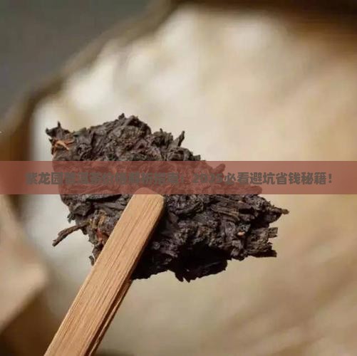 紫龙园普洱茶价格
