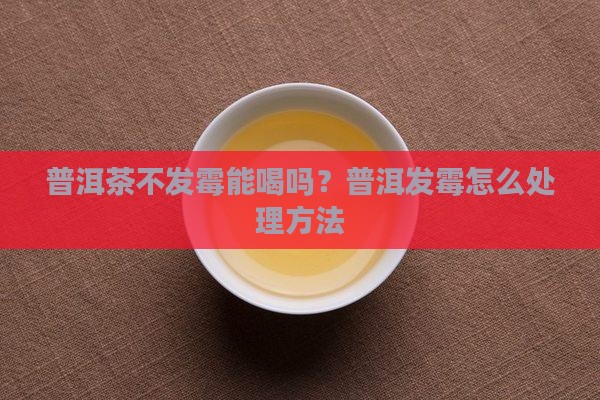 普洱茶不发霉能喝吗怎么泡
