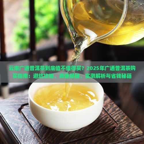 云南广通普洱茶