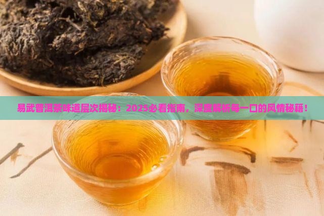 易武普洱茶味道层次