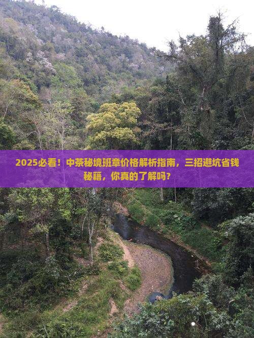 中茶秘境班章价格
