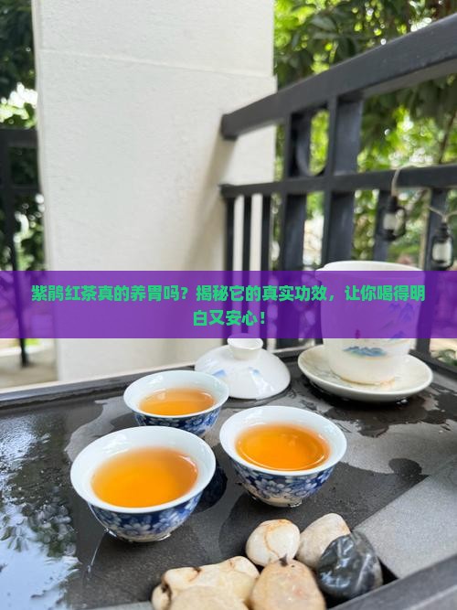 紫鹃红茶真的养胃吗