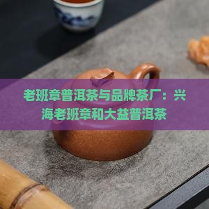 兴海老班章和大益普洱茶