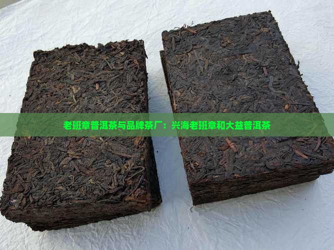 兴海老班章和大益普洱茶