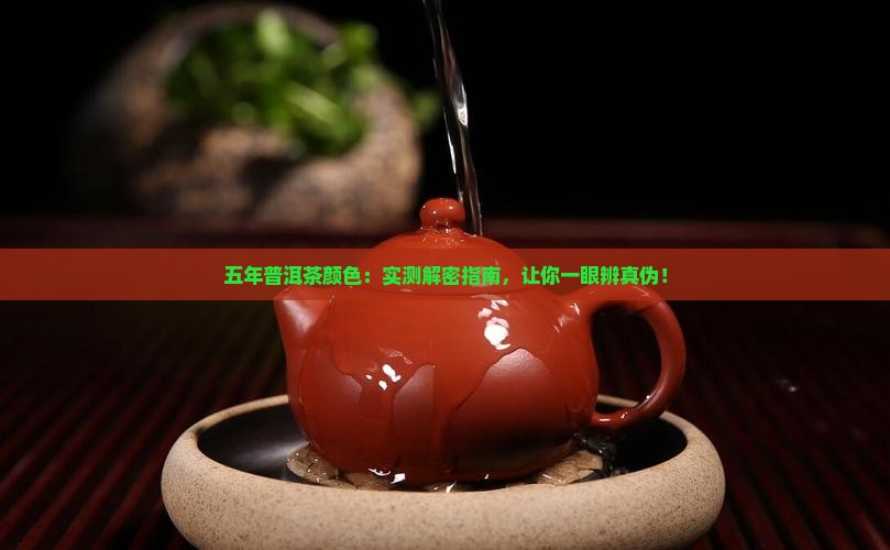 五年的普洱茶颜色