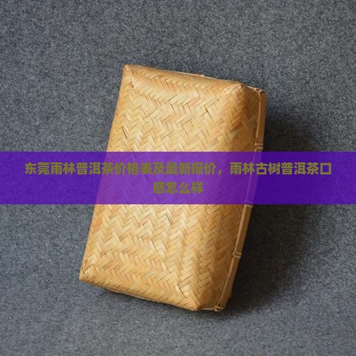 东莞雨林普洱茶