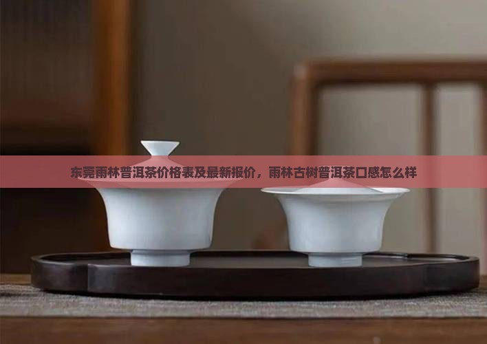 东莞雨林普洱茶