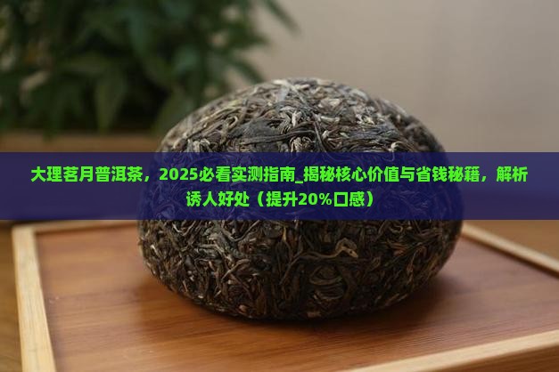 大理茗月普洱茶