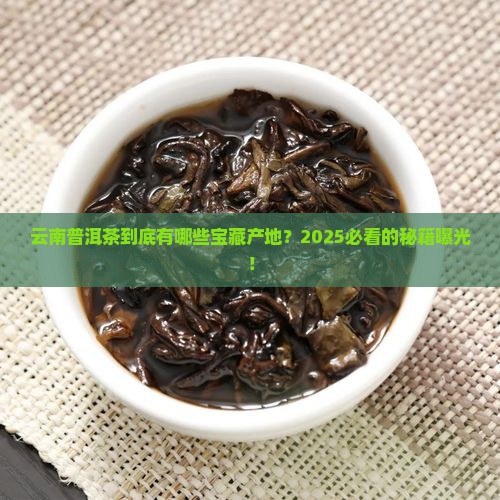 云南普洱茶都有哪些产地 云南普洱茶都有哪些产地