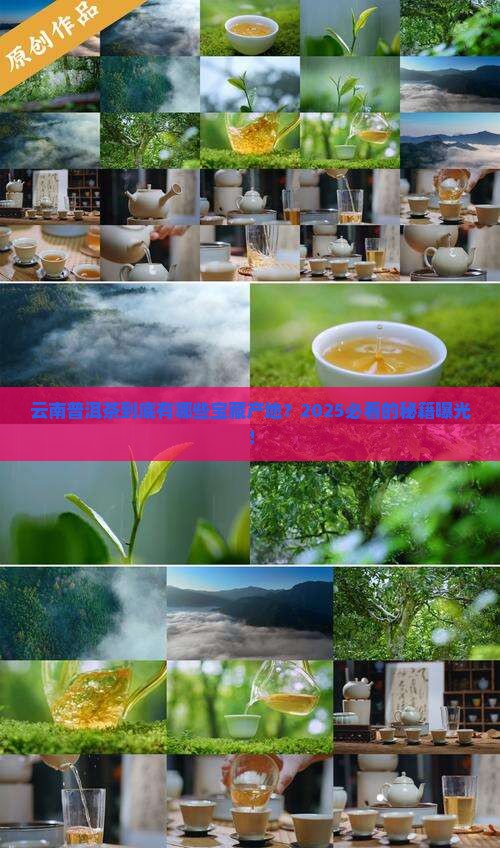 云南普洱茶都有哪些产地 云南普洱茶都有哪些产地