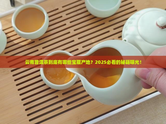 云南普洱茶都有哪些产地 云南普洱茶都有哪些产地