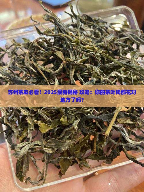 苏州人都去哪里买茶叶