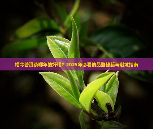 福今普洱茶哪一年的好喝