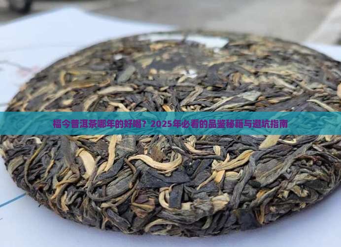 福今普洱茶哪一年的好喝