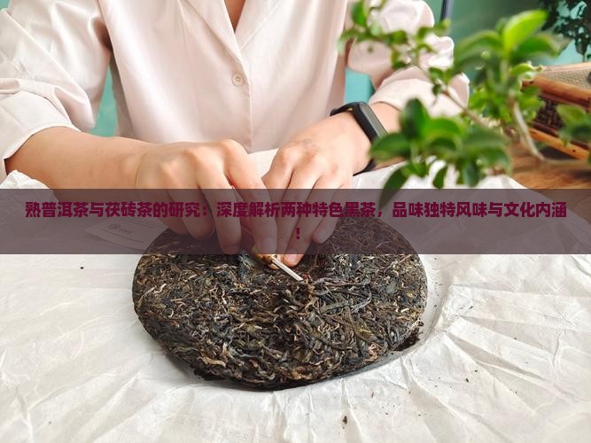 熟普洱茶与茯砖茶的研究