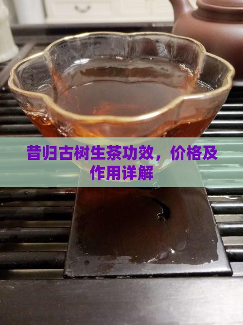 昔归古树生茶功效