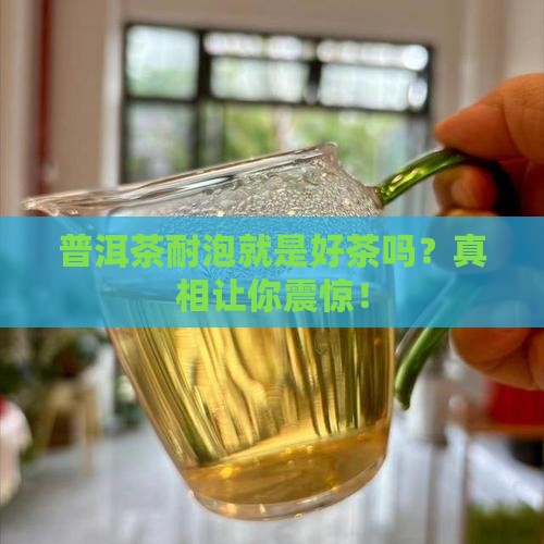 普洱茶耐泡是好茶么
