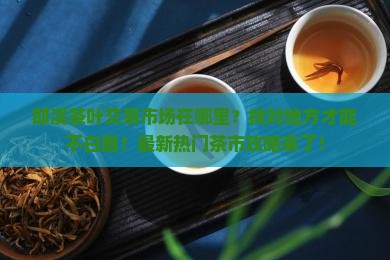 郎溪茶叶交易市场在哪里
