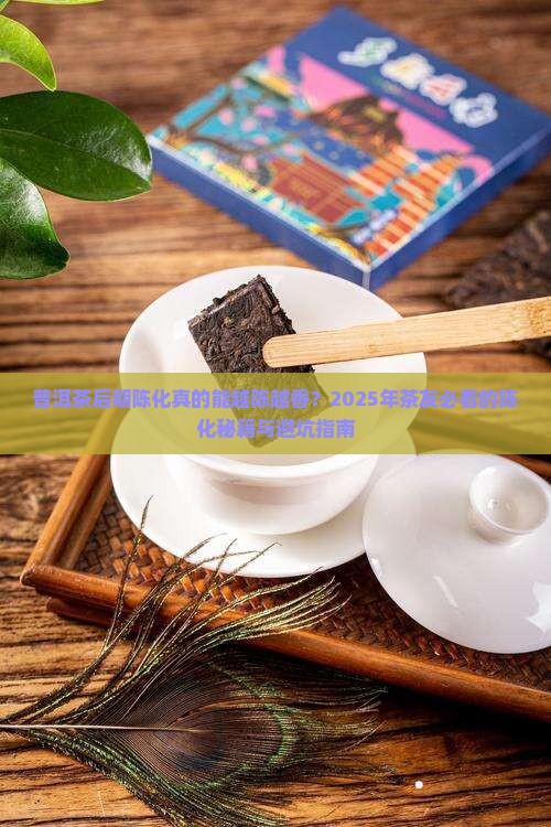 普洱茶的后期陈化