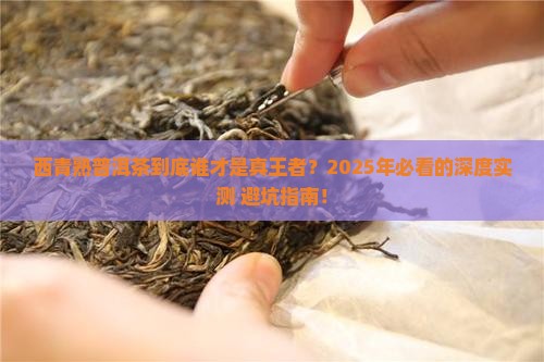 西青熟普洱茶排名