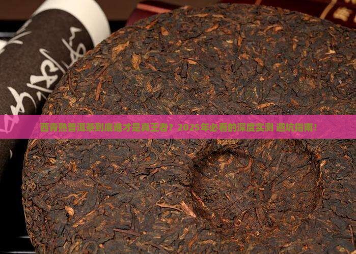 西青熟普洱茶排名