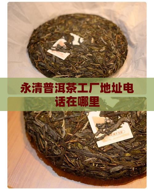 永清普洱茶工厂