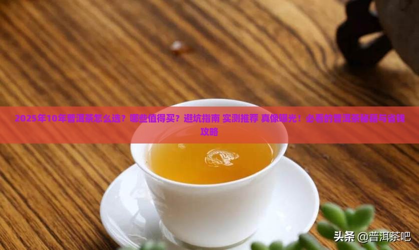 10年普洱茶推荐