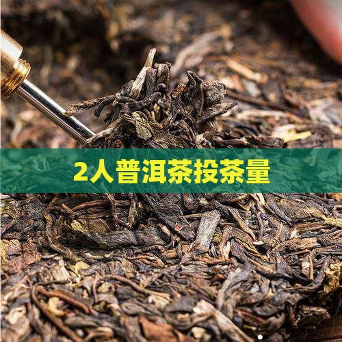 2人普洱茶投茶量