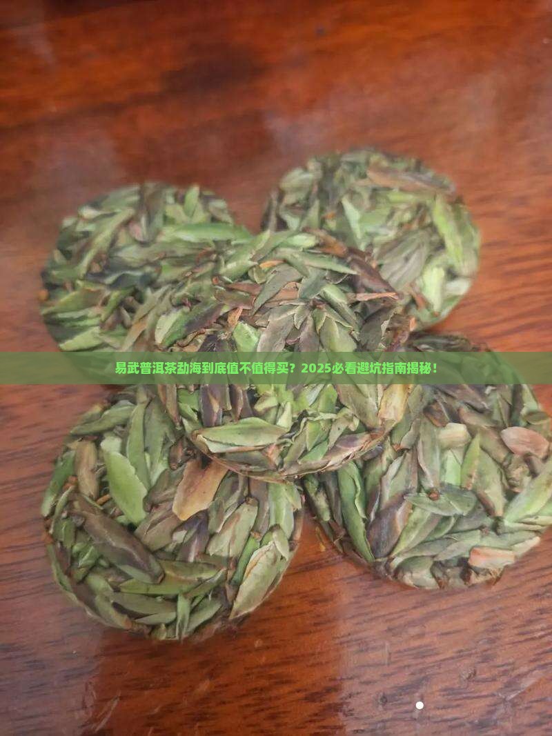 易武普洱茶勐海