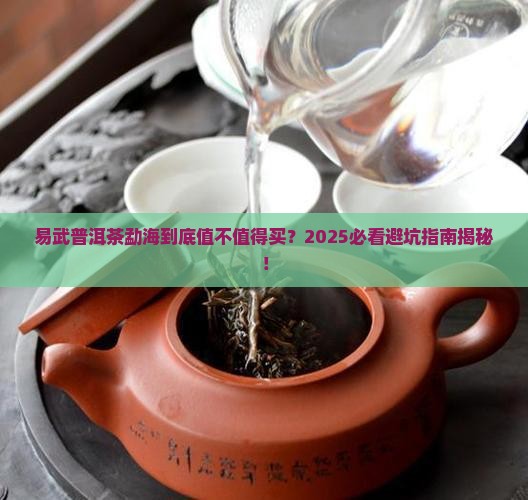 易武普洱茶勐海